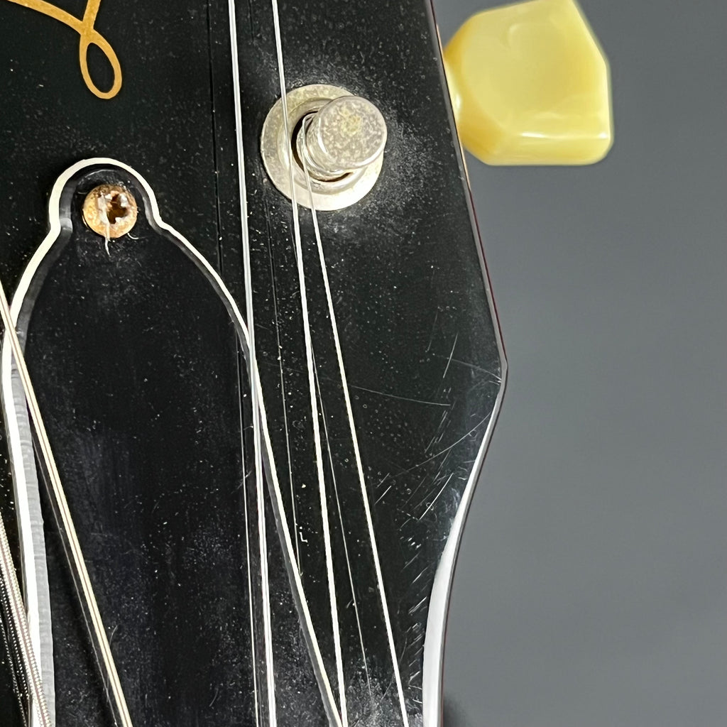 EDWARDS E-LPS *PU MOD*