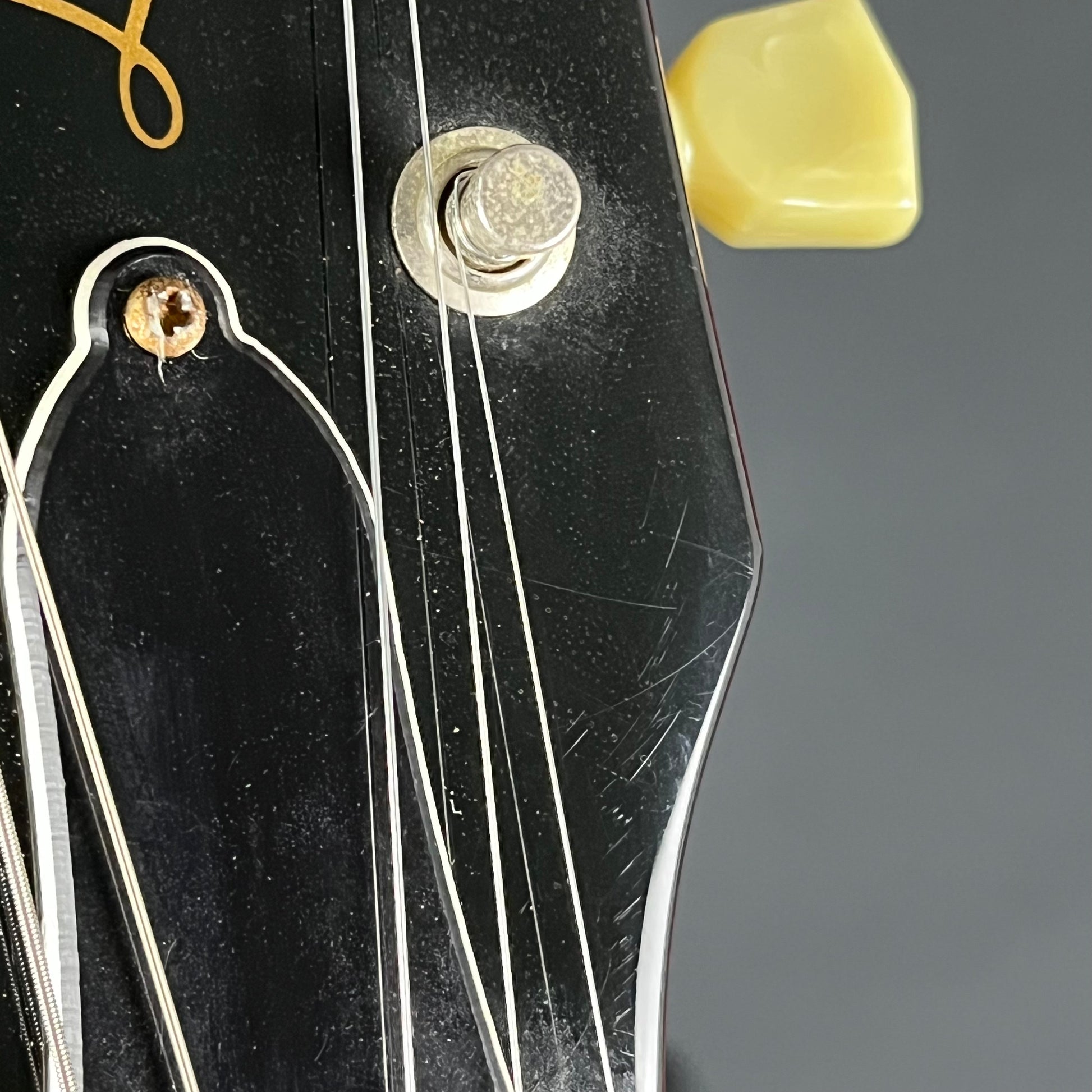 EDWARDS E-LPS *PU MOD*