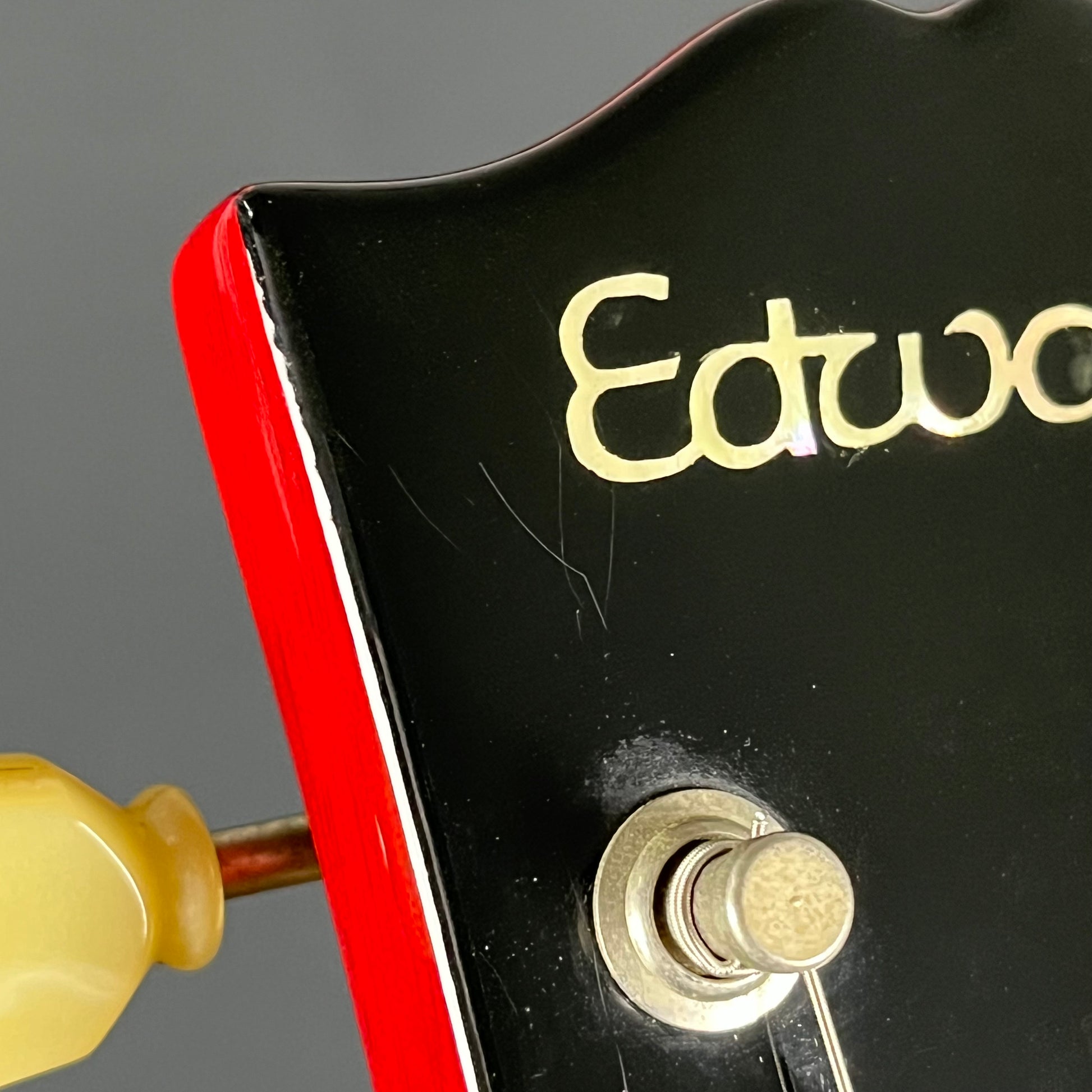 EDWARDS E-LPS *PU MOD*