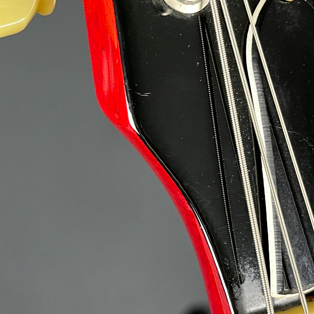 EDWARDS E-LPS *PU MOD*