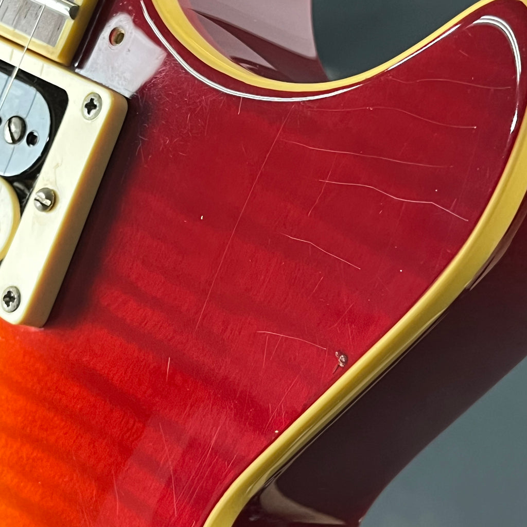 EDWARDS E-LPS *PU MOD*