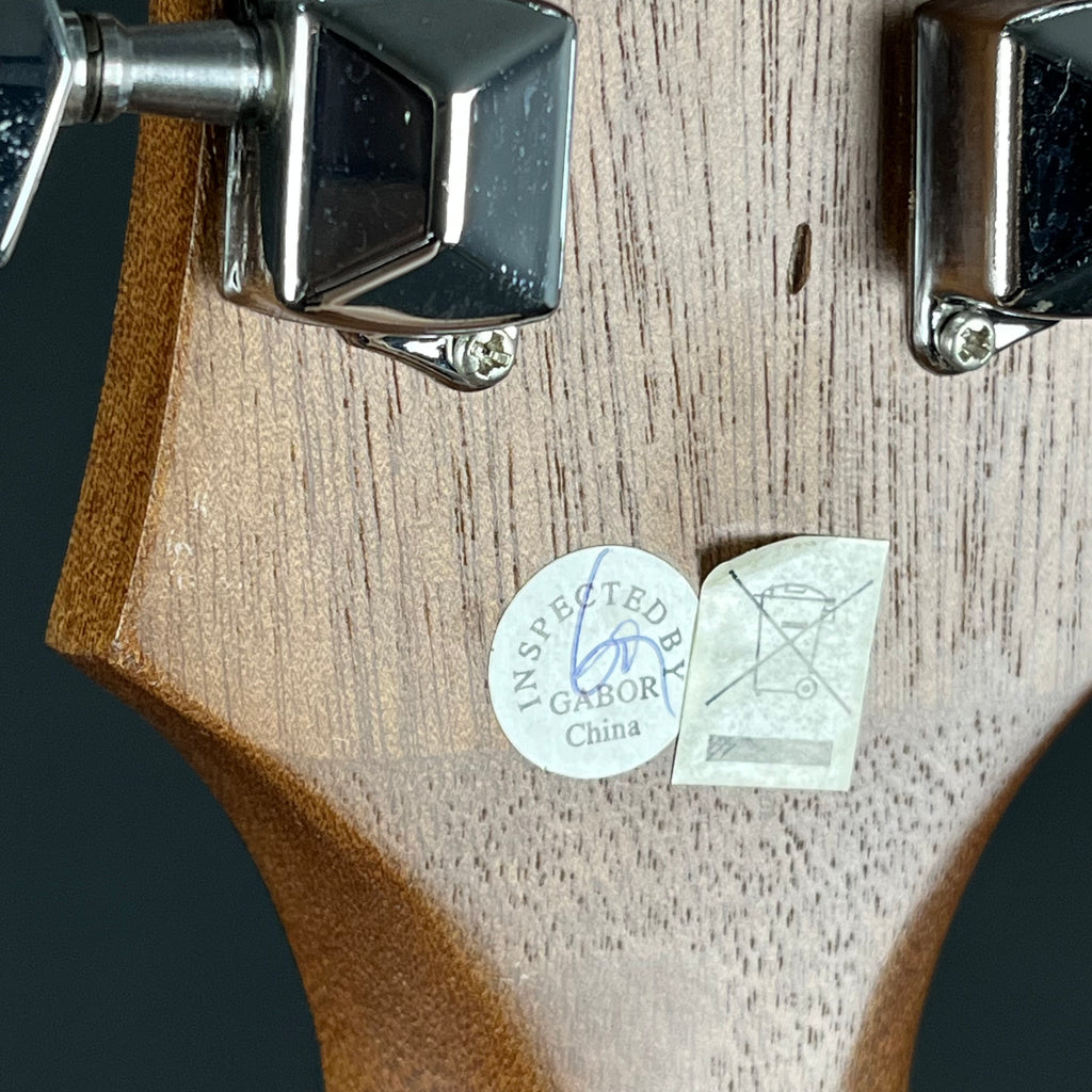 Epiphone Les Paul Special VE