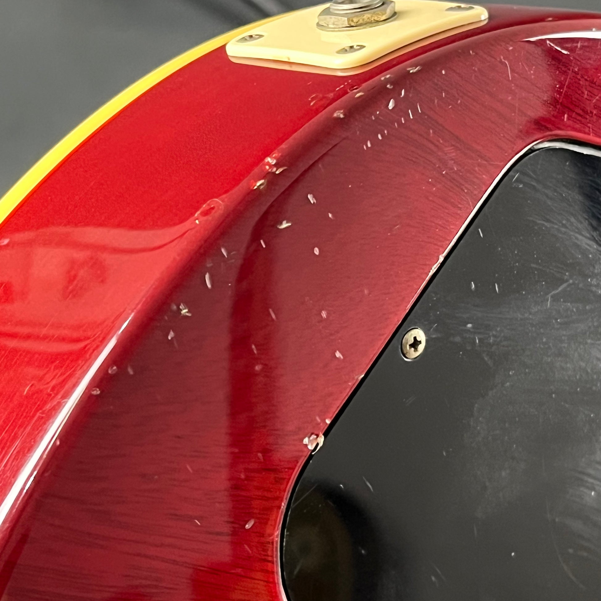 EDWARDS E-LPS *PU MOD*