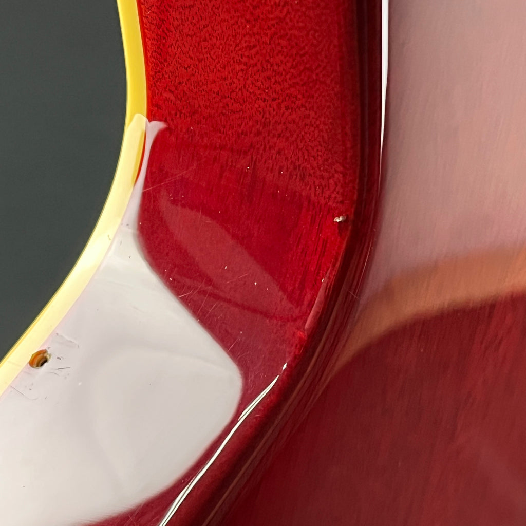 EDWARDS E-LPS *PU MOD*