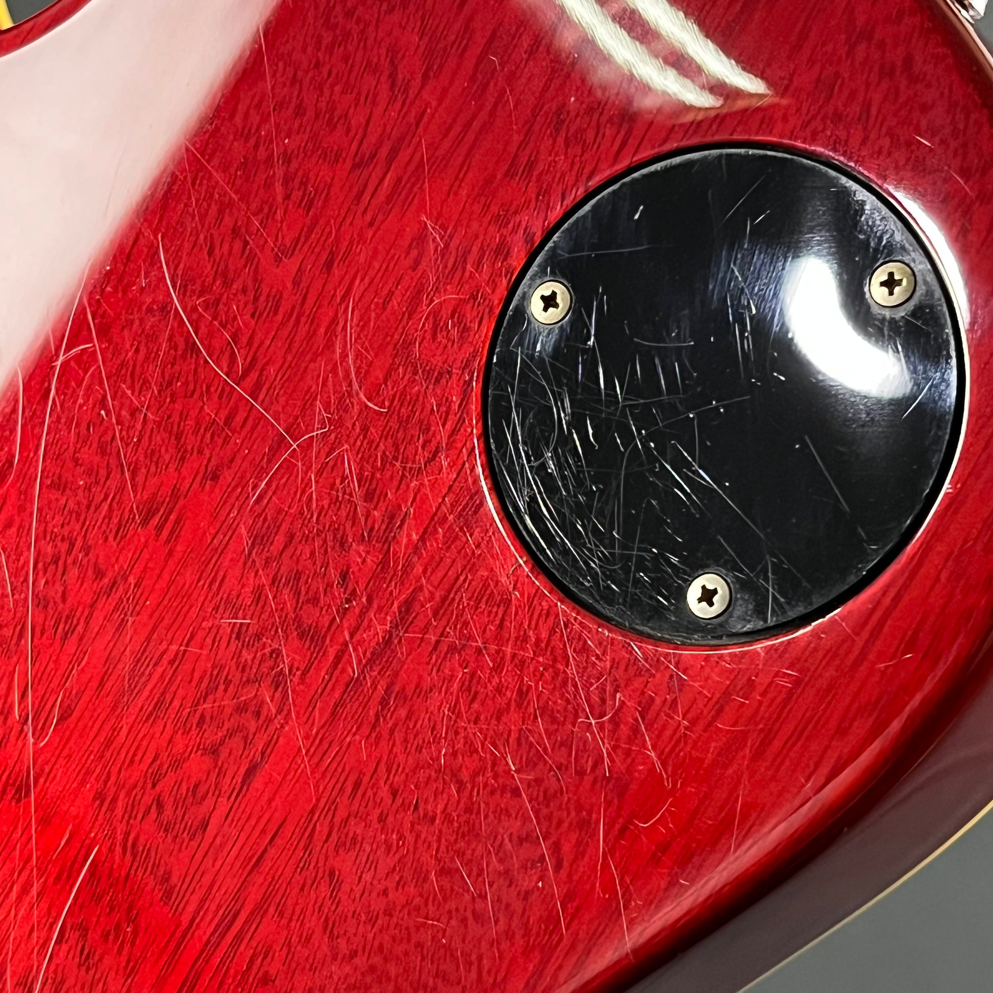 EDWARDS E-LPS *PU MOD*