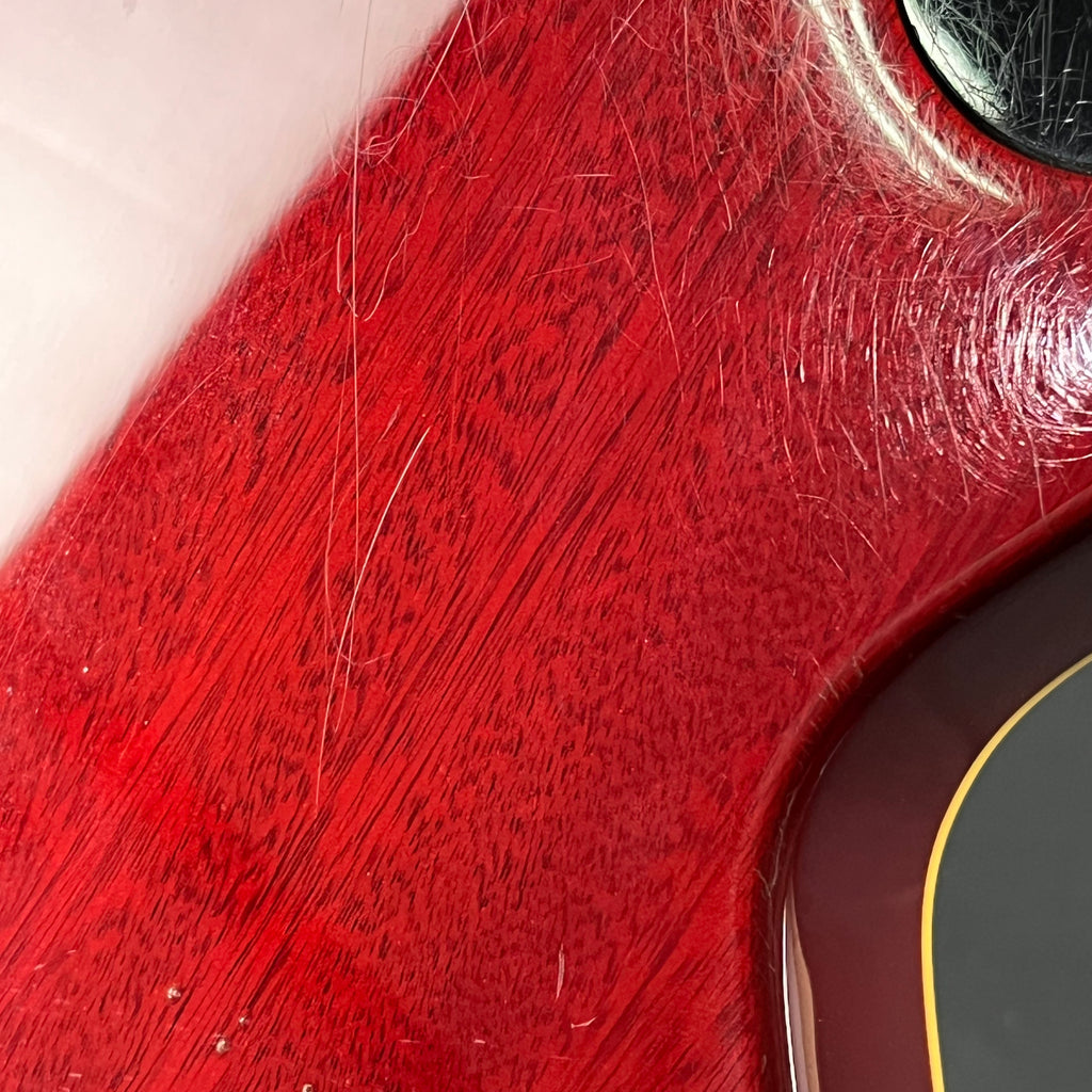 EDWARDS E-LPS *PU MOD*