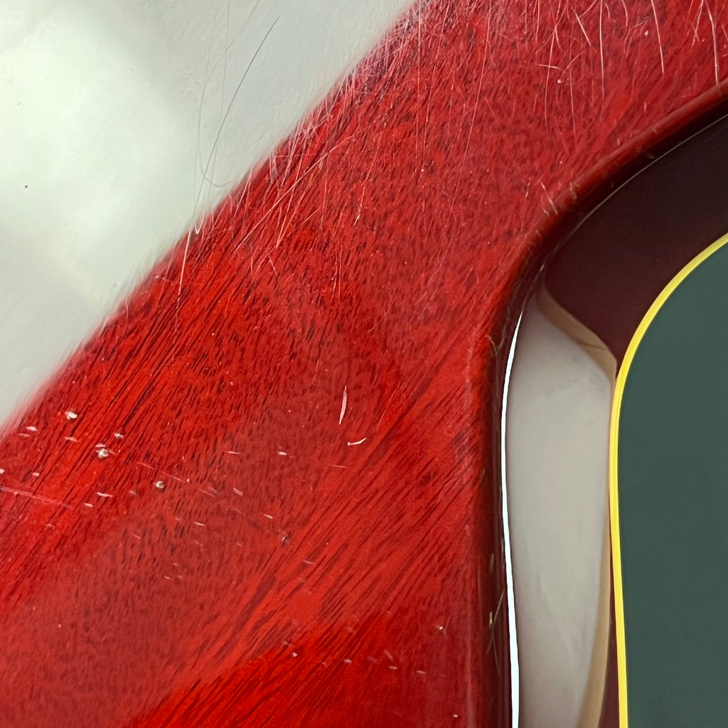 EDWARDS E-LPS *PU MOD*