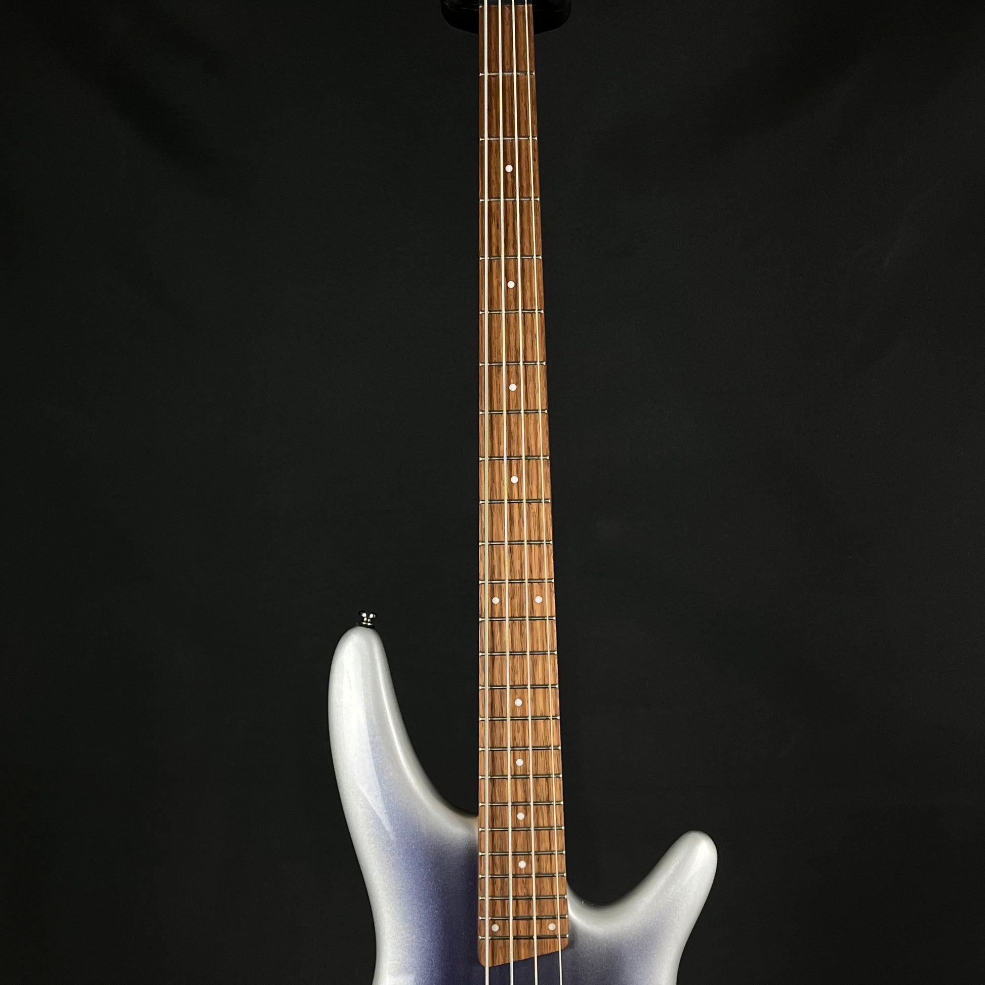 Ibanez SR300E Bass