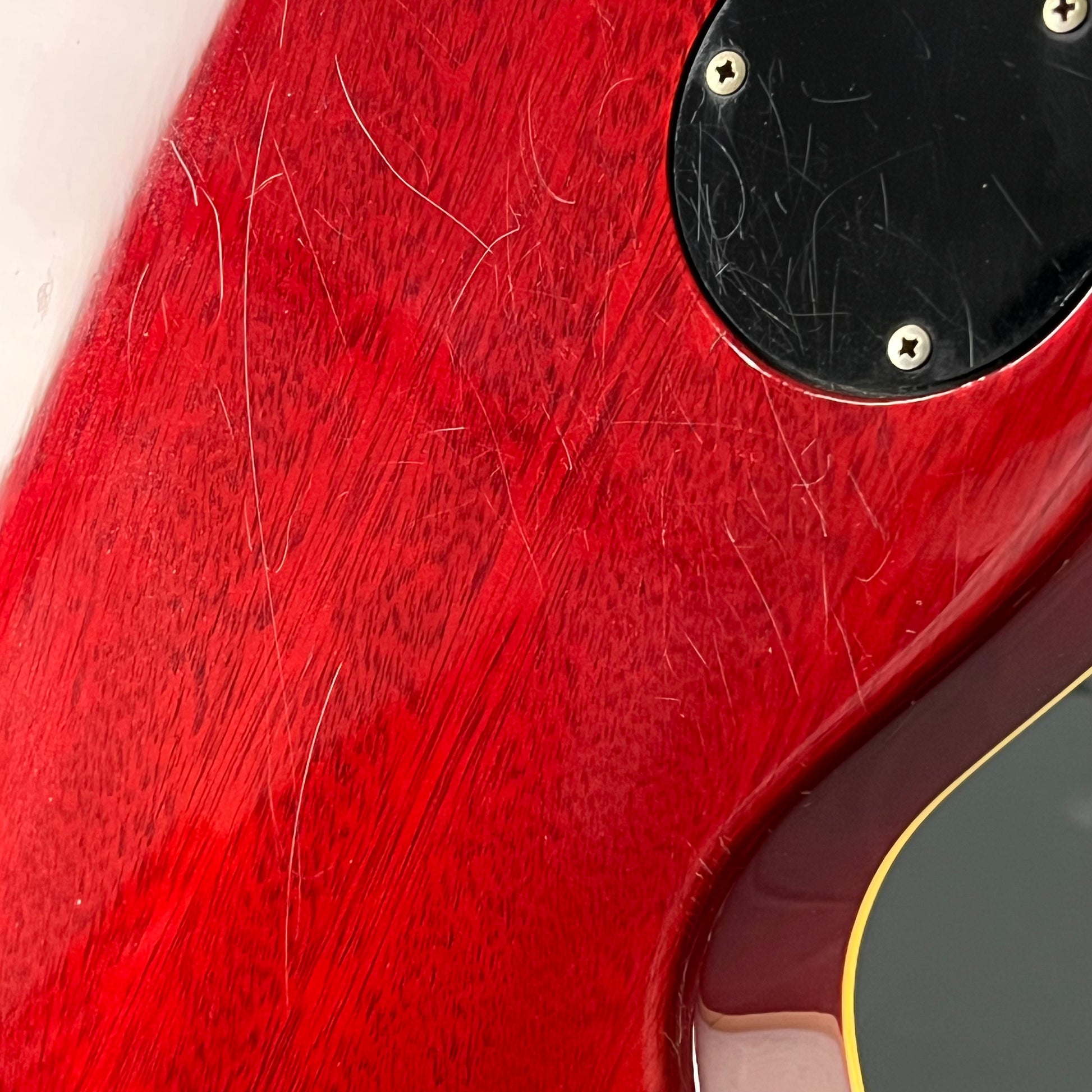 EDWARDS E-LPS *PU MOD*