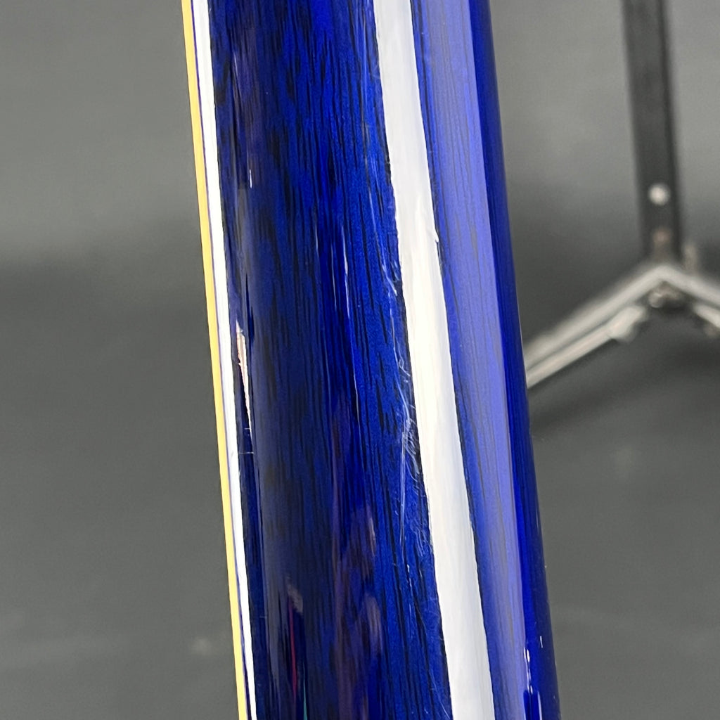 Schecter Diamond Series Exotic Star