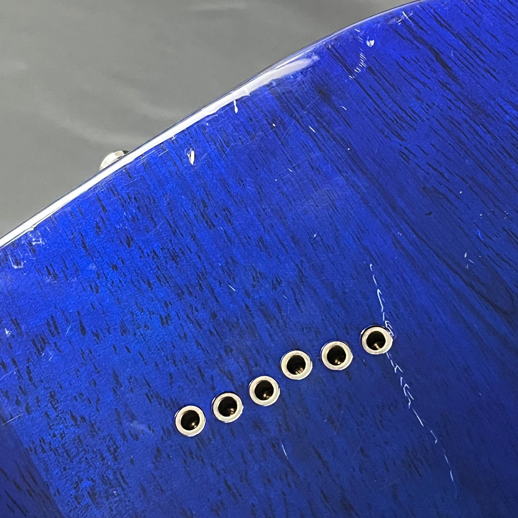 Schecter Diamond Series Exotic Star