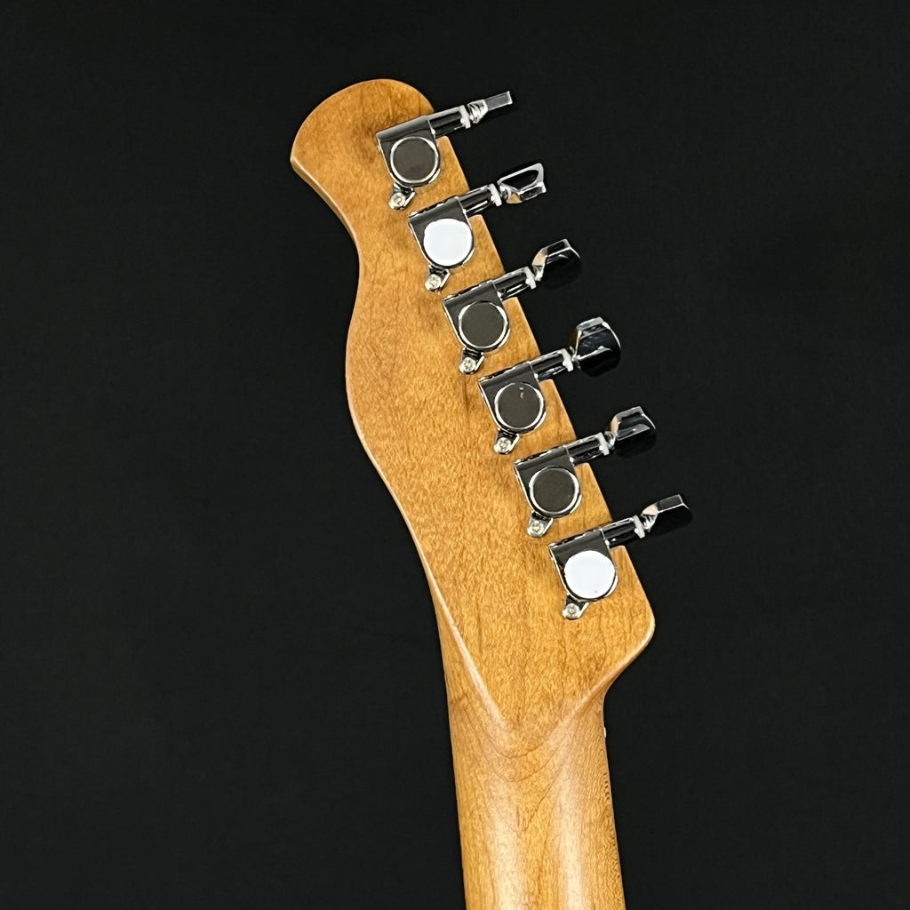 Bacchus Universe Series Telecaster