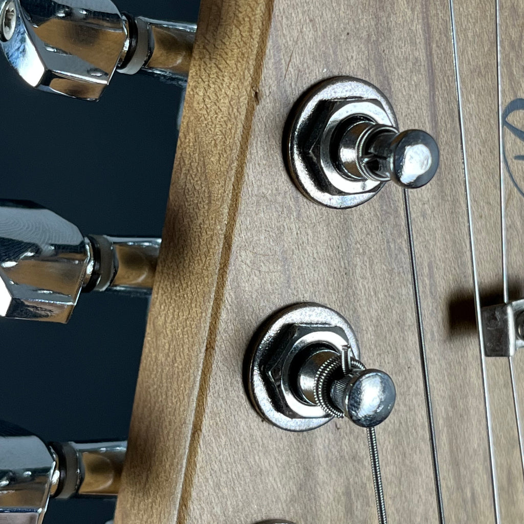 Bacchus Universe Series Telecaster