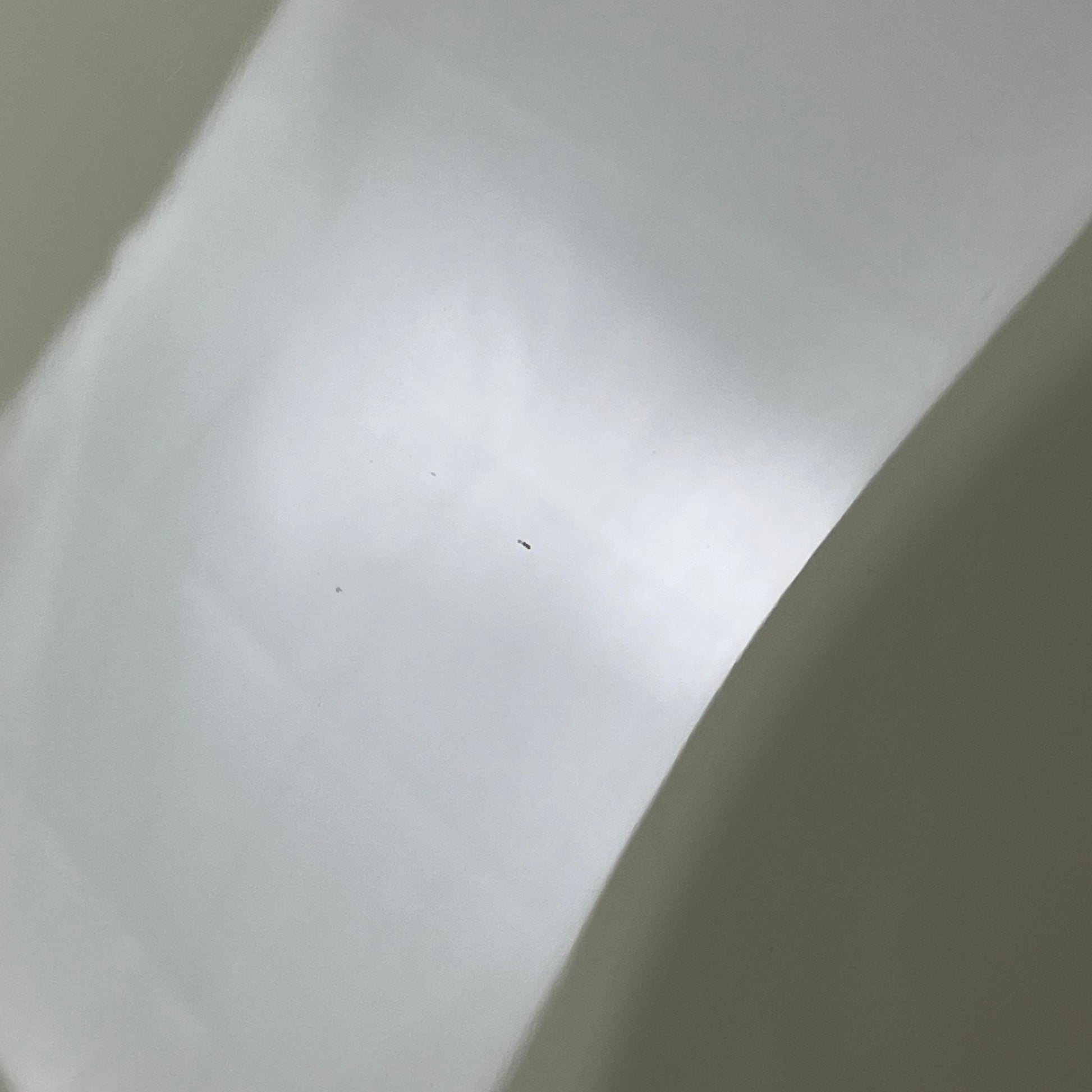 Greco Japan WSB-STD Bass