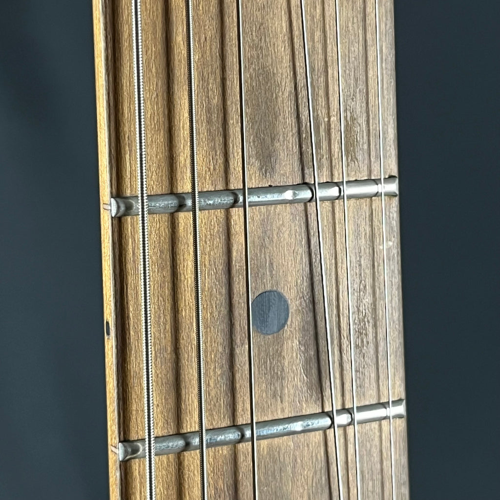 Bacchus Universe Series Telecaster