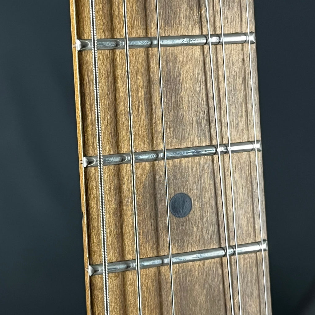 Bacchus Universe Series Telecaster
