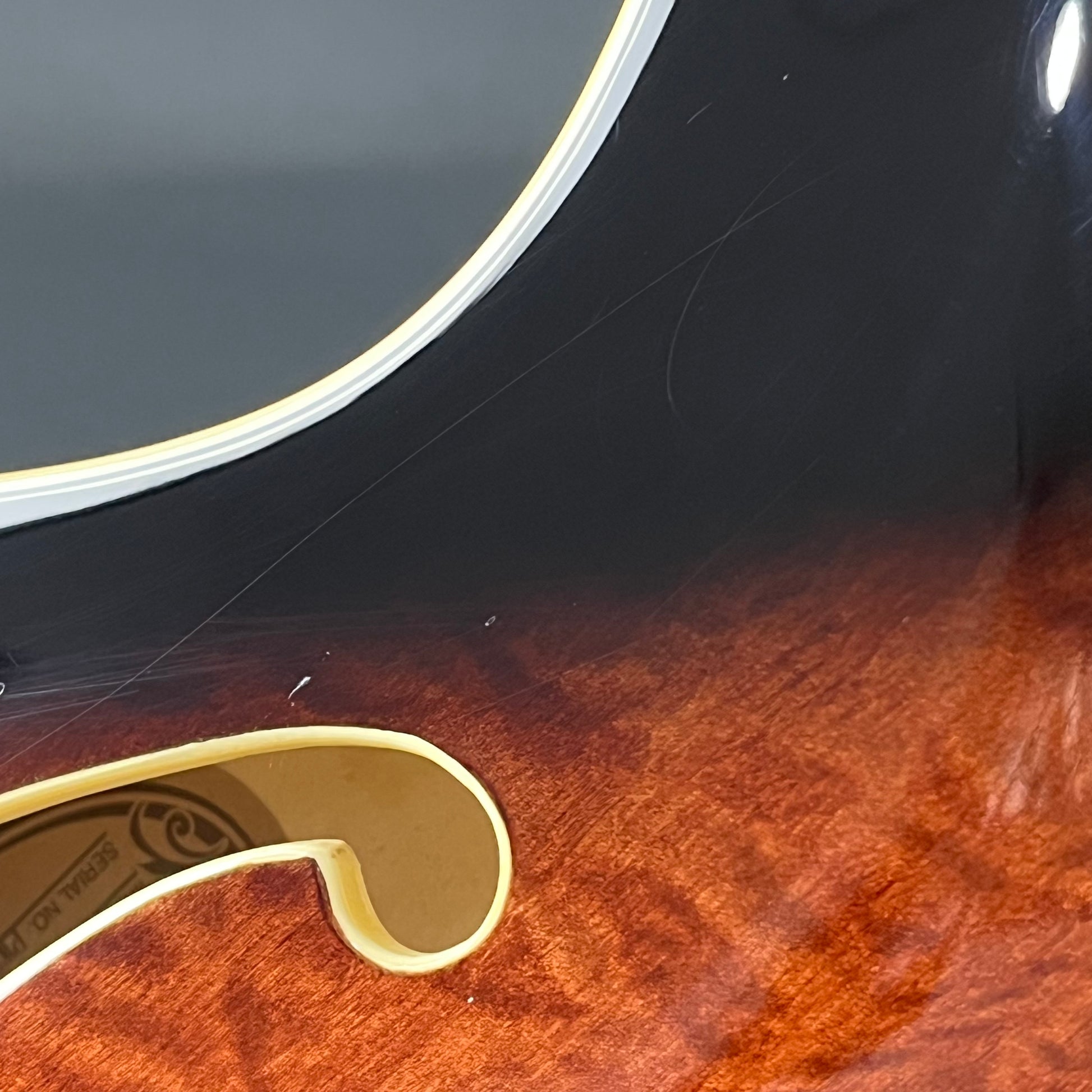 Ibanez AS93QMSP 2024