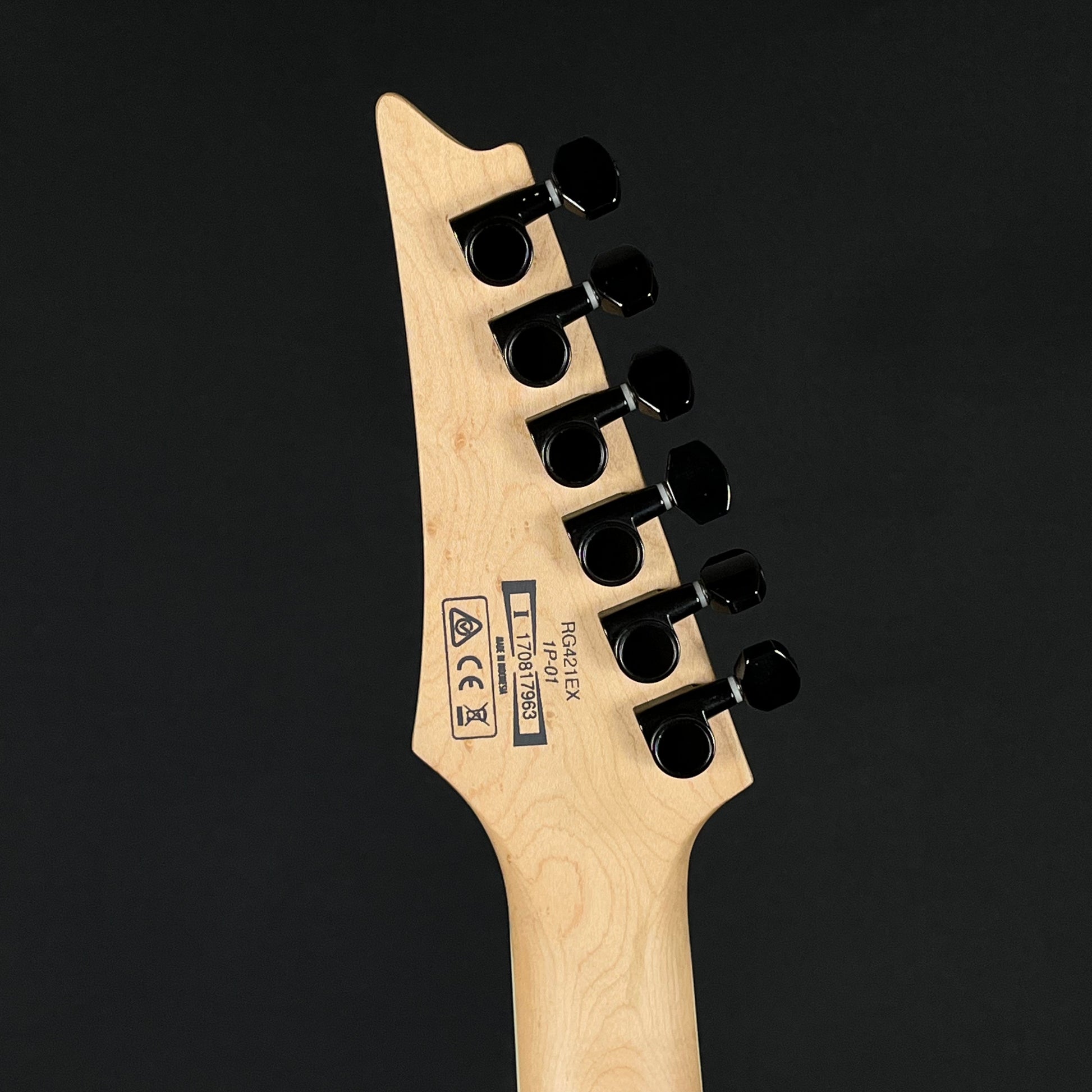 Ibanez RG421EX