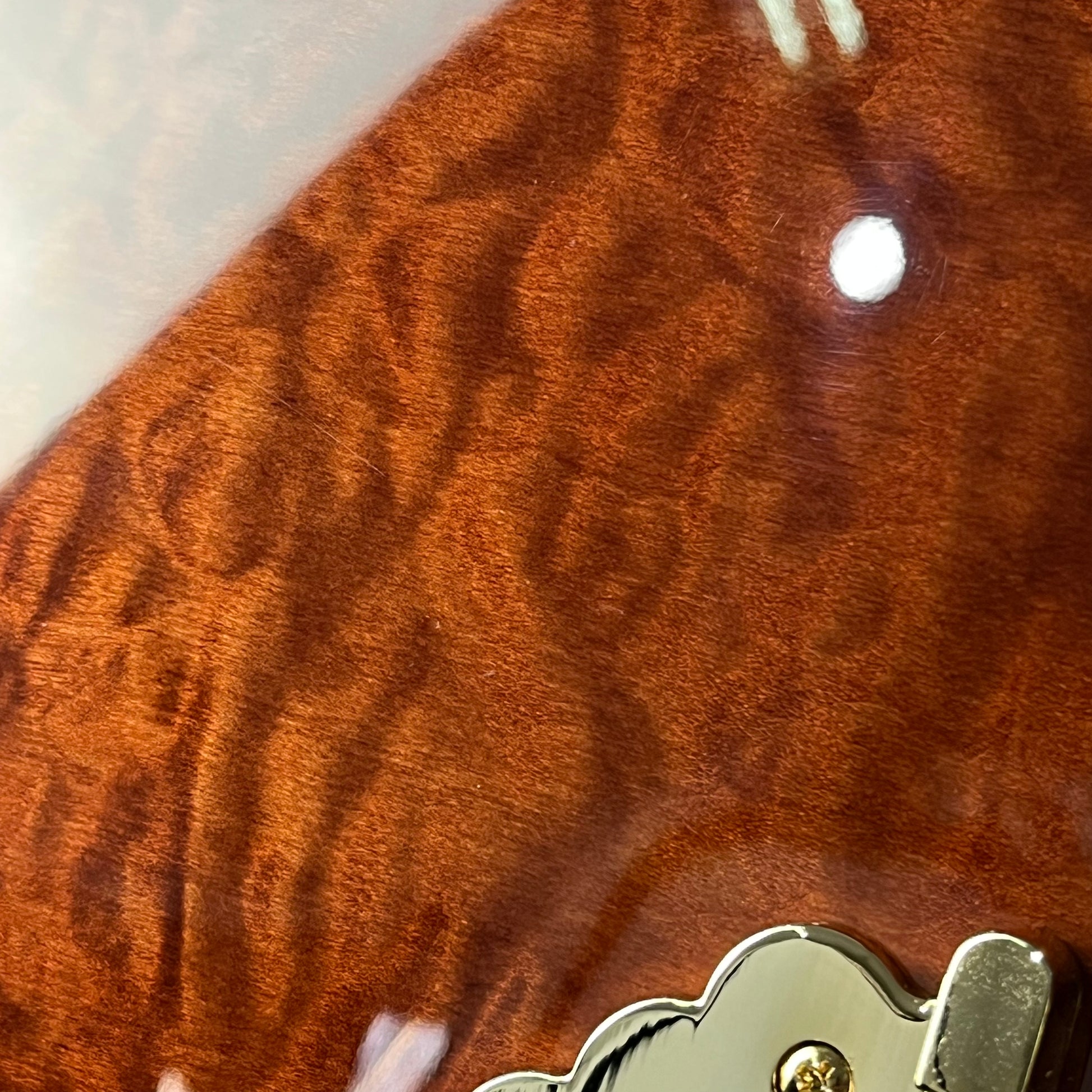 Ibanez AS93QMSP 2024