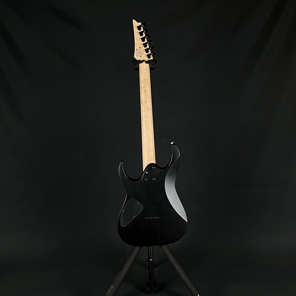 Ibanez RG421EX