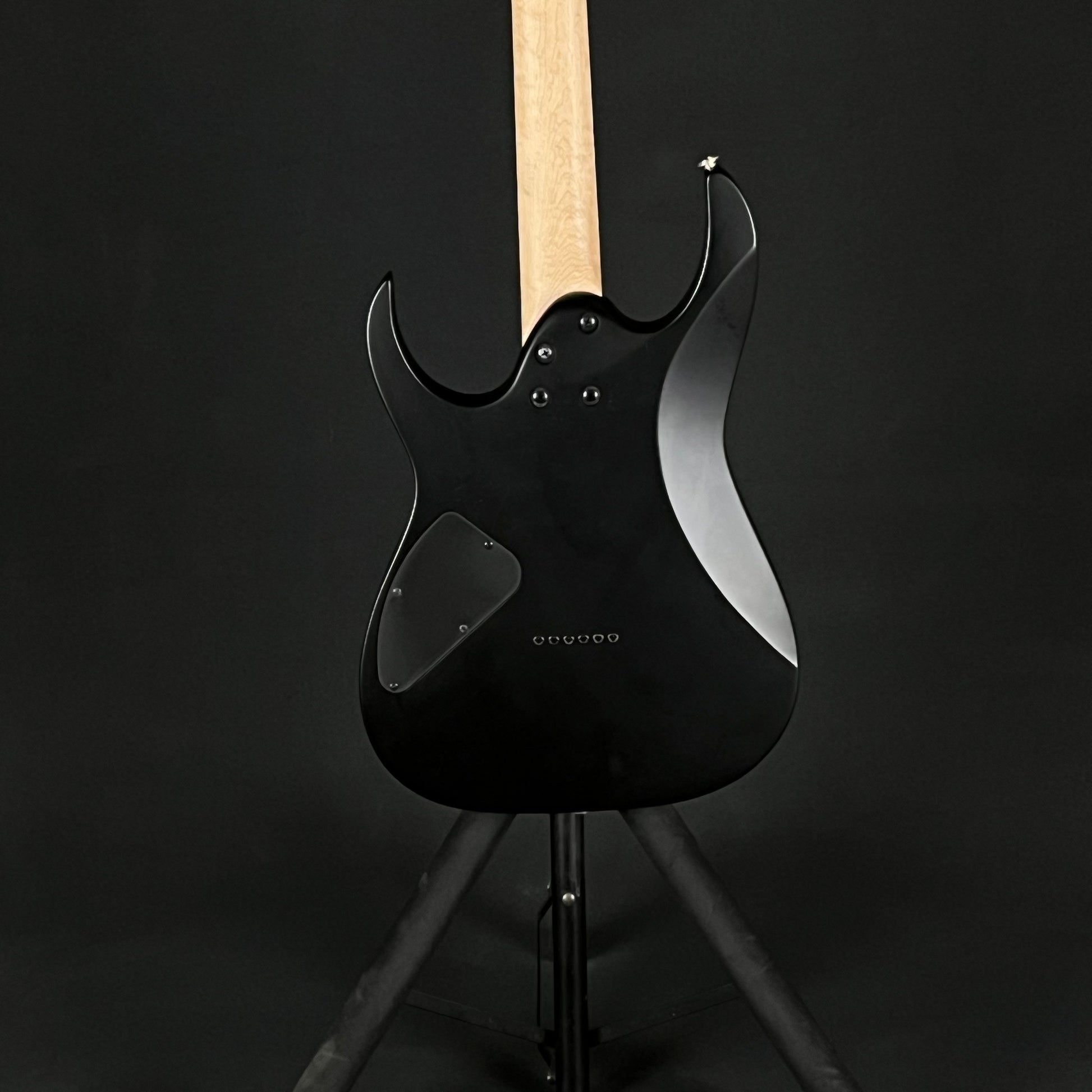 Ibanez RG421EX