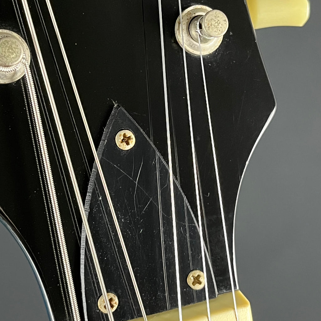 Blitz by Aria Pro II BLP-450