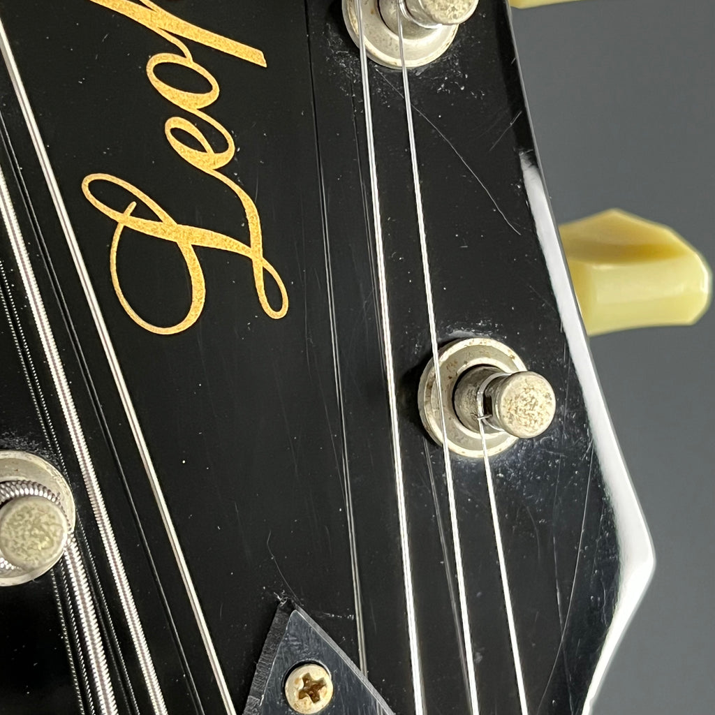 Blitz by Aria Pro II BLP-450