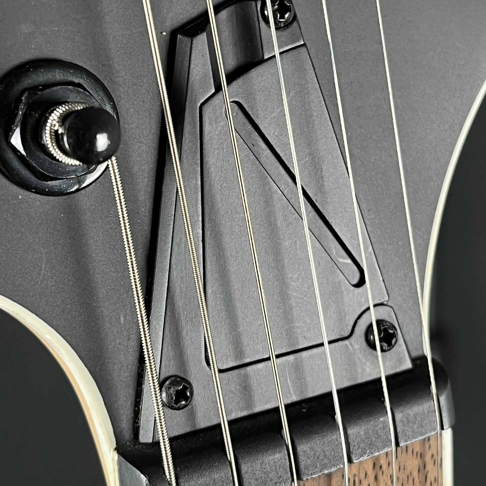 Ibanez RG421EX