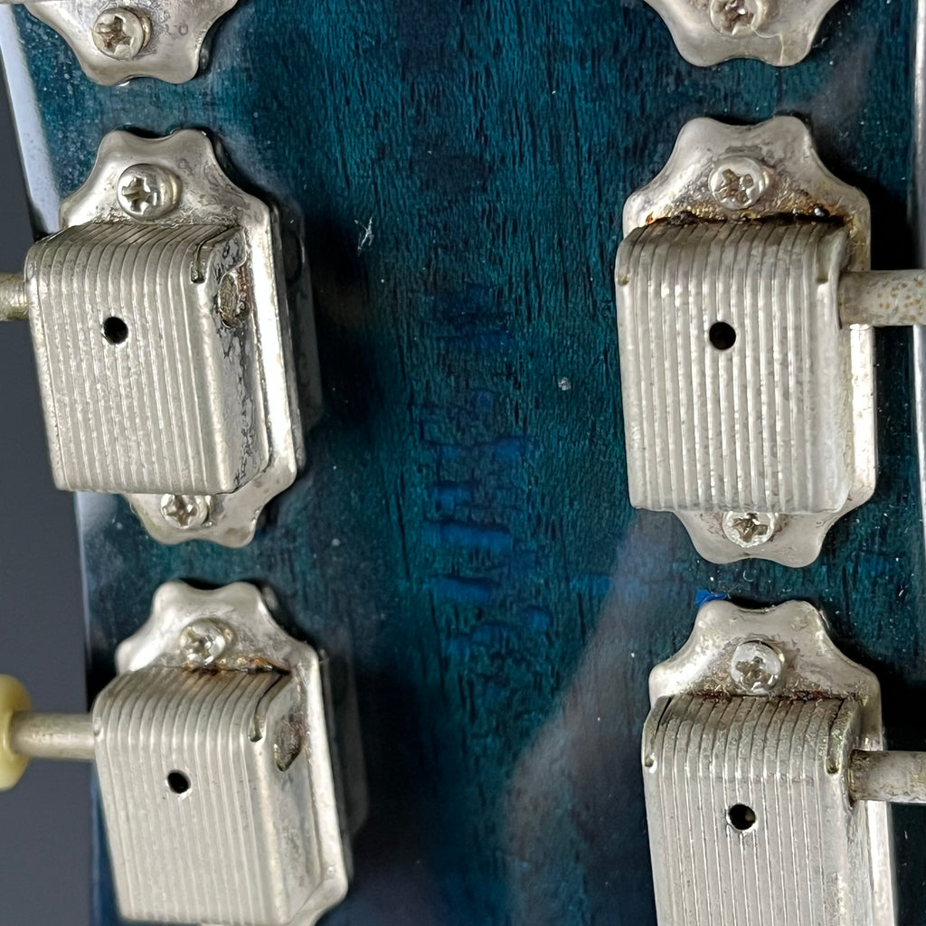 Blitz by Aria Pro II BLP-450