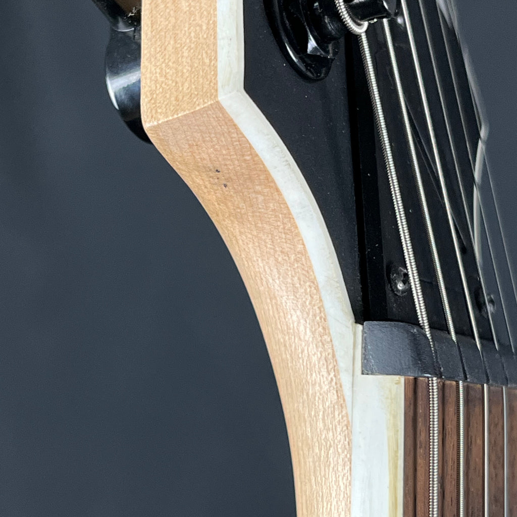 Ibanez RG421EX