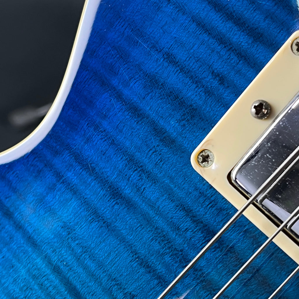 Blitz by Aria Pro II BLP-450