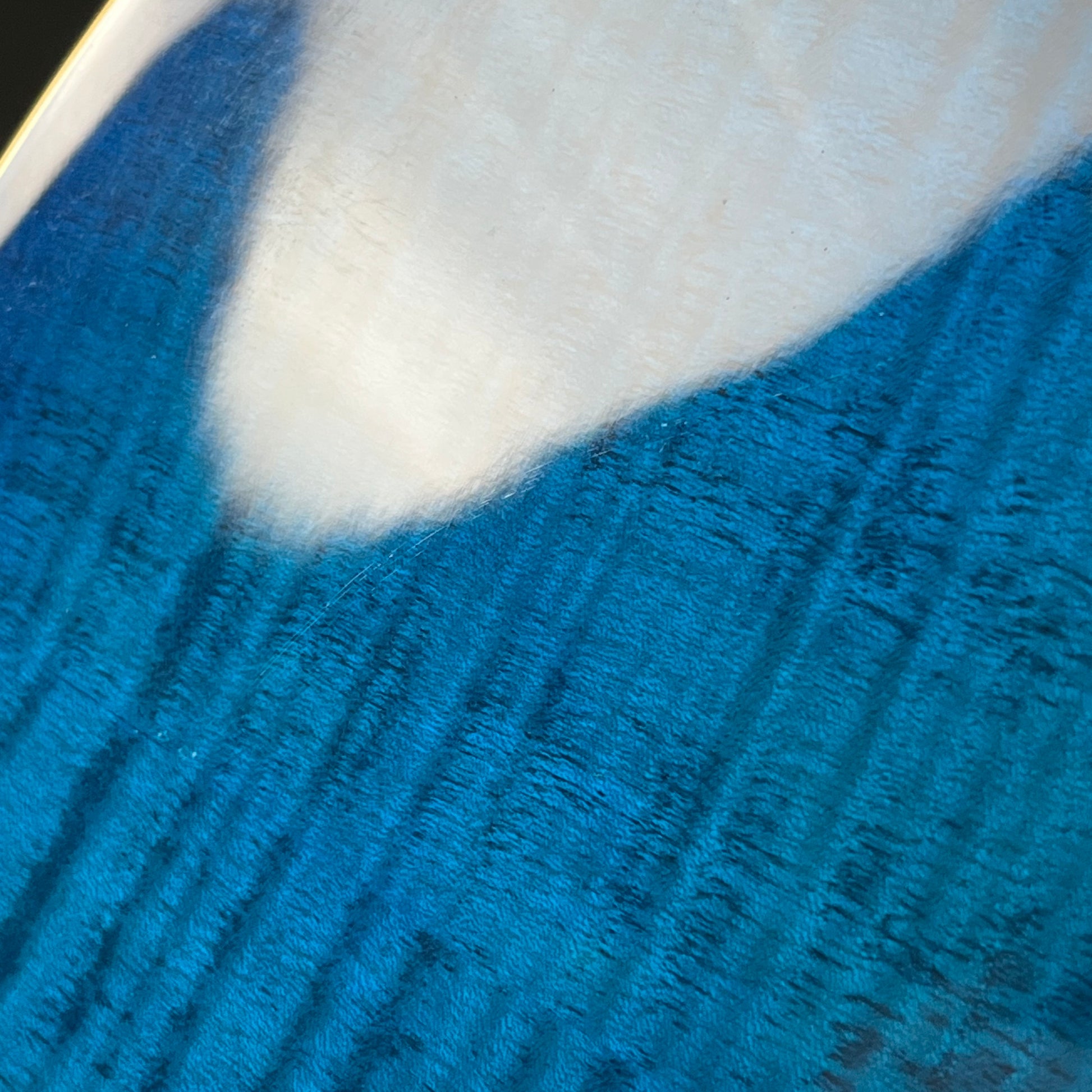 Blitz by Aria Pro II BLP-450