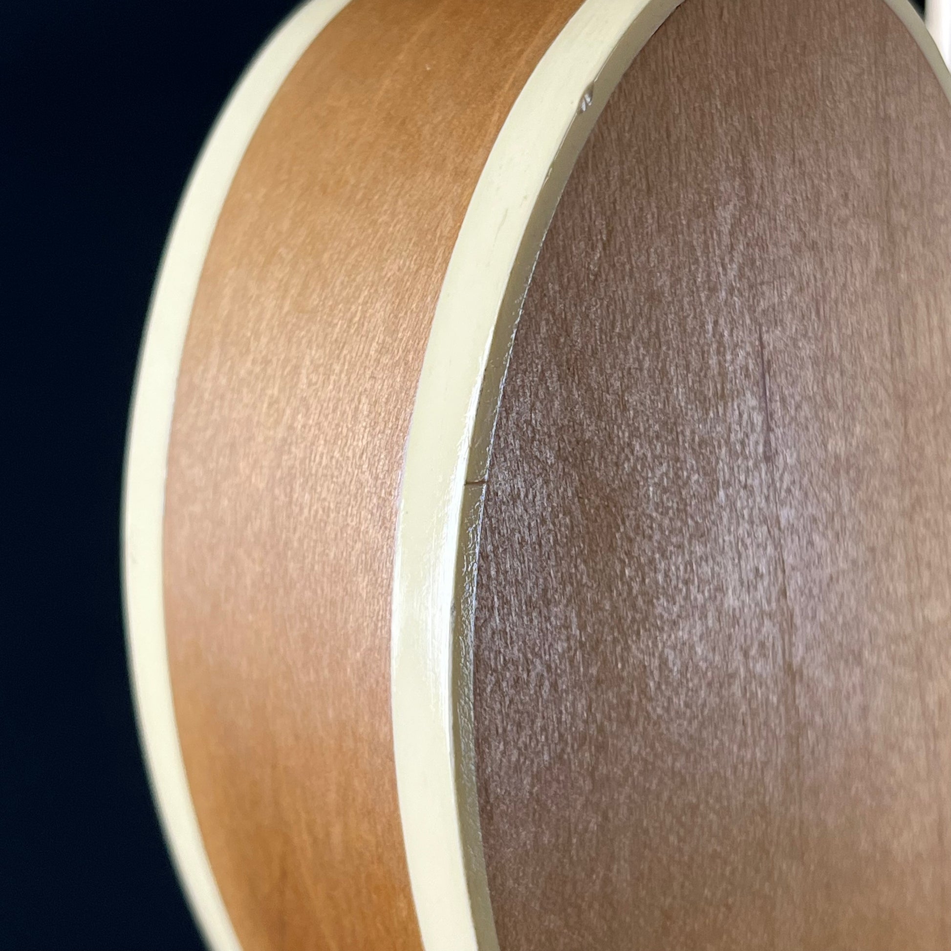 Epiphone Japan Casino E230TD Blue Label