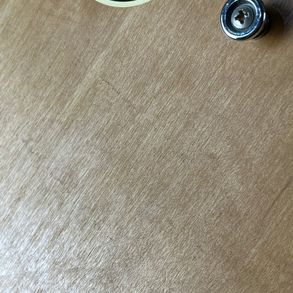 Epiphone Japan Casino E230TD Blue Label