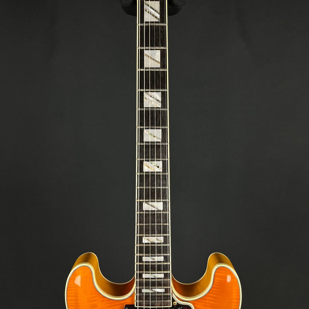 Aria Pro II Japan TA-Deluxe