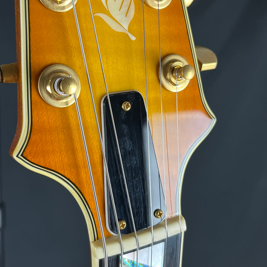 Aria Pro II Japan TA-Deluxe