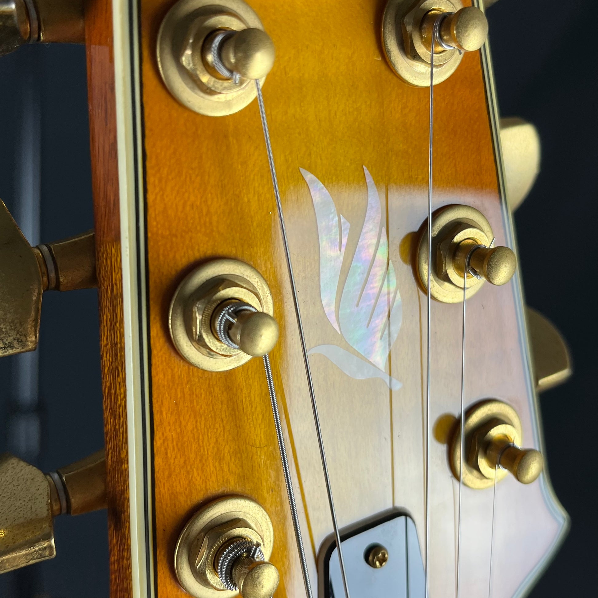 Aria Pro II Japan TA-Deluxe