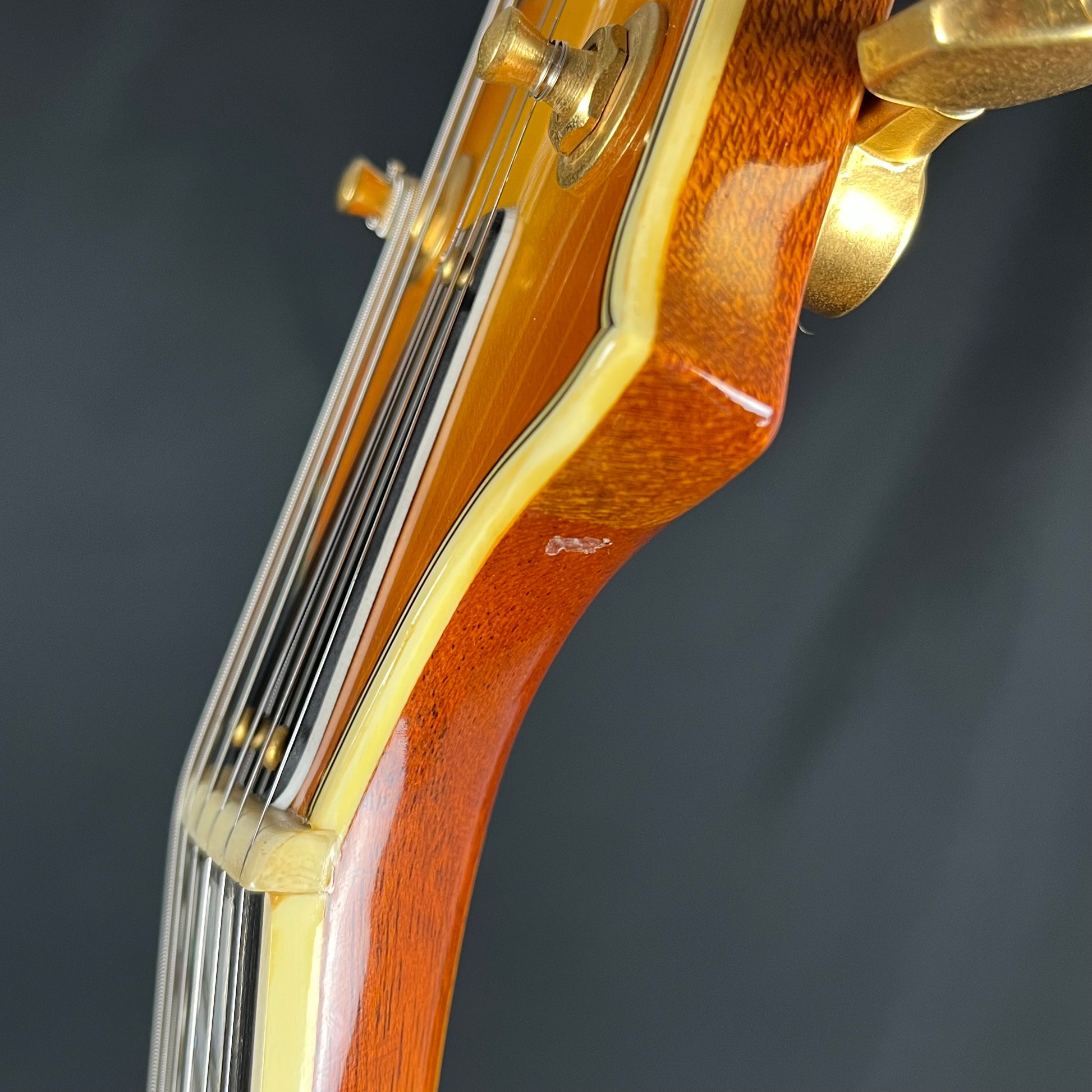 Aria Pro II Japan TA-Deluxe