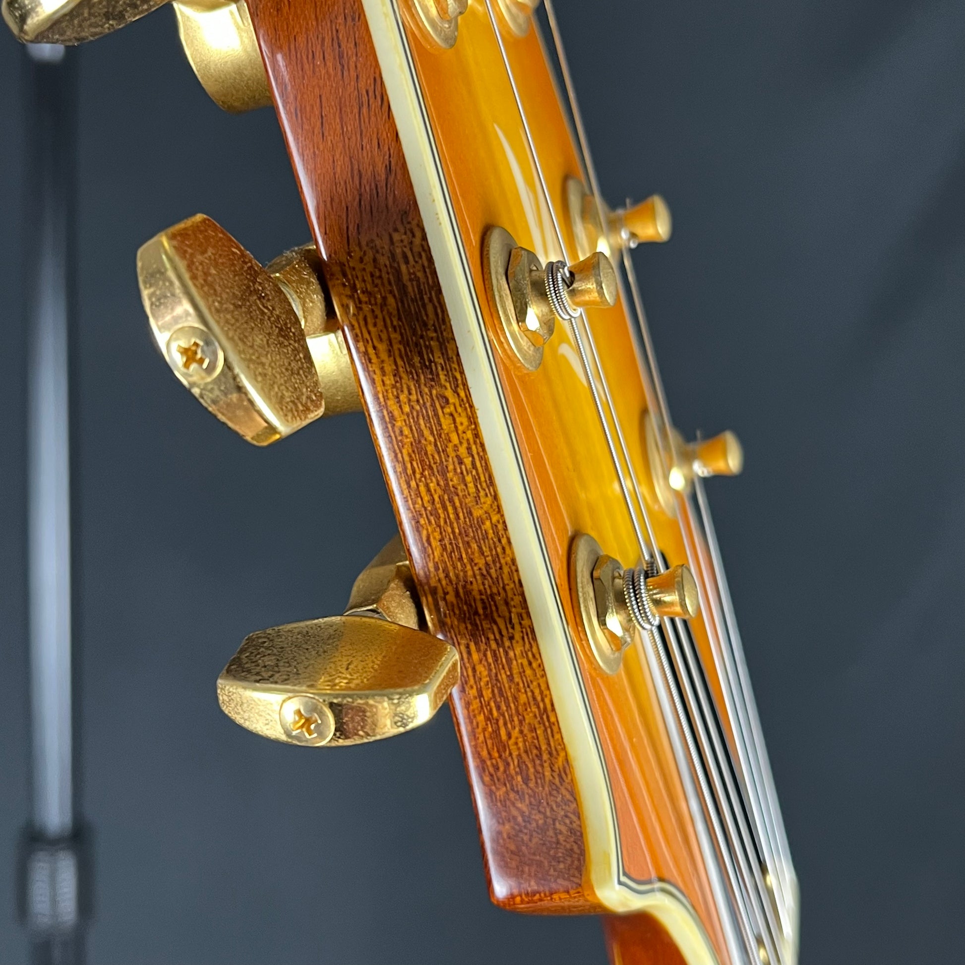Aria Pro II Japan TA-Deluxe