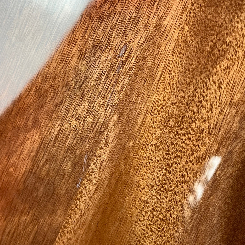 Bacchus WJB5-BP Active