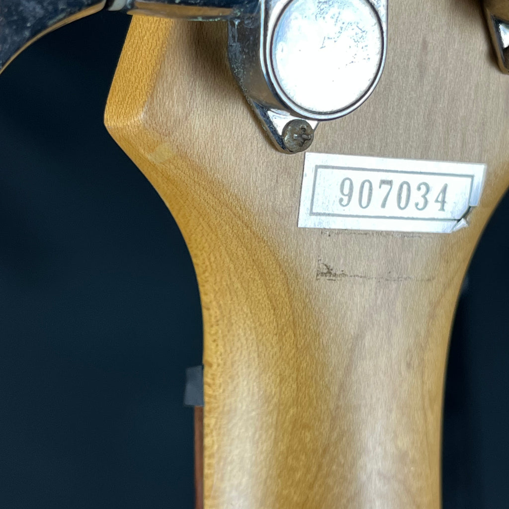 Ibanez SDGR Bass