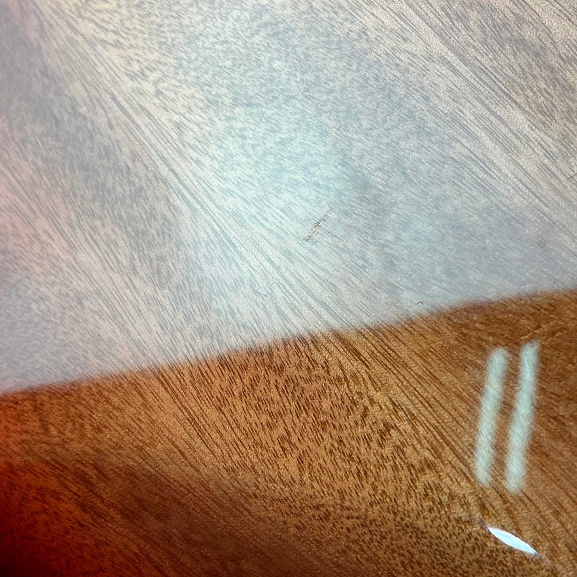 Bacchus WJB5-BP Active