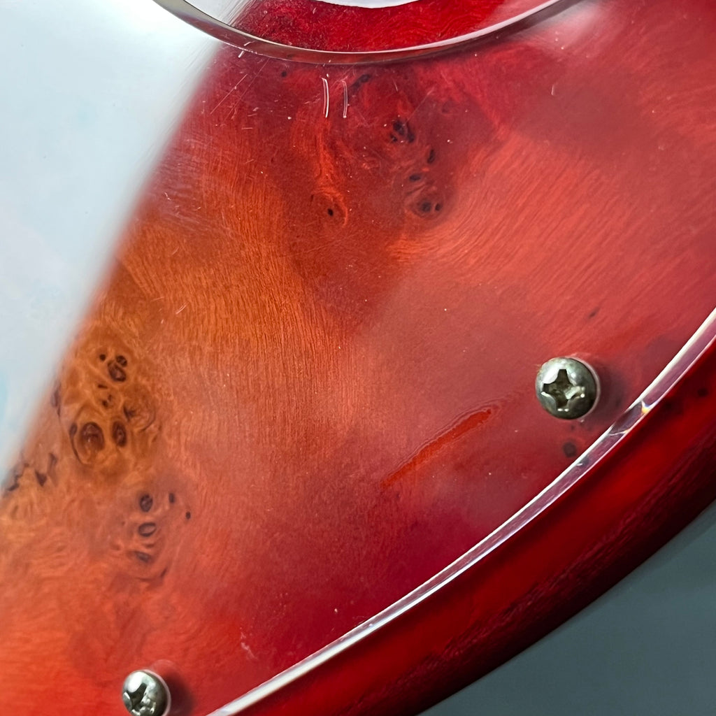 Bacchus WJB5-BP Active