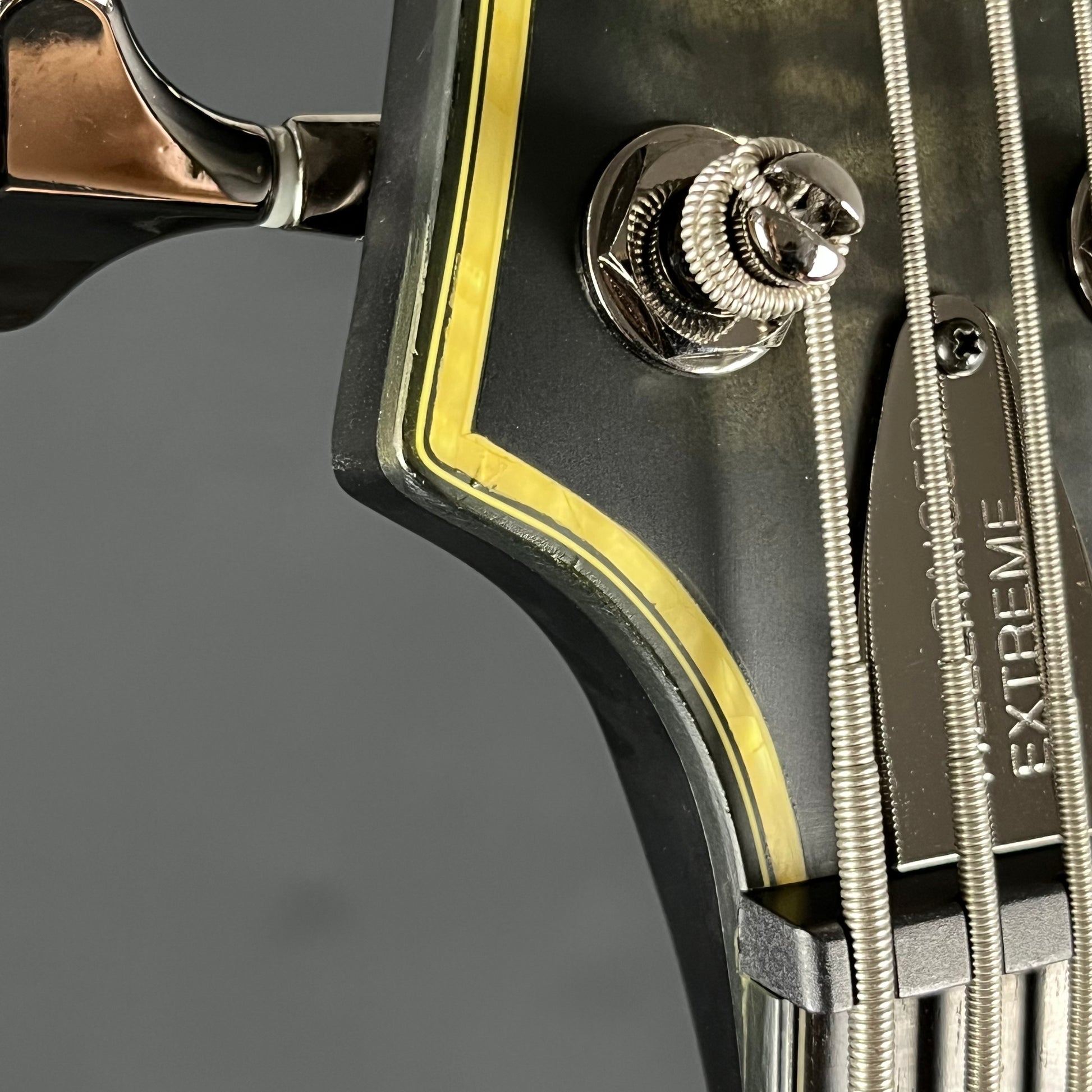 Schecter Hellraiser Extreme-5