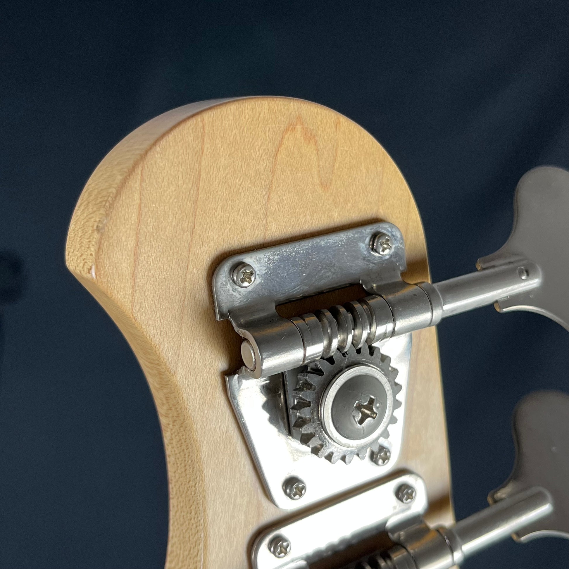 Bacchus WL-434 Bass