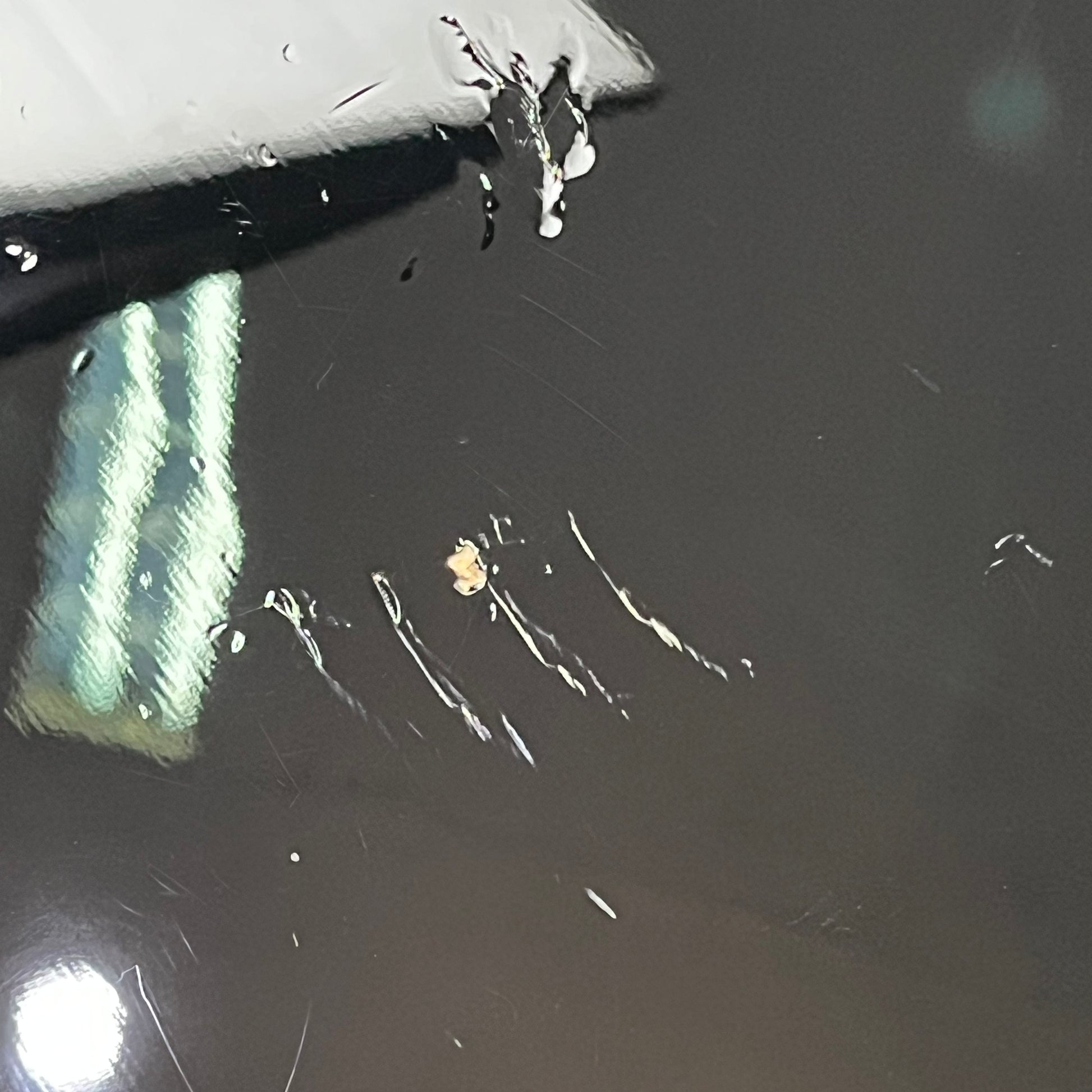 Squier Affinity Jazz Bass