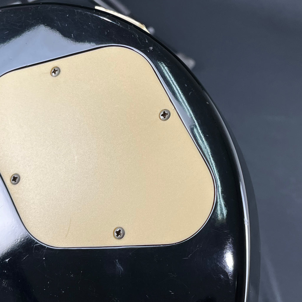 Epiphone Les Paul 100 Bolt-on