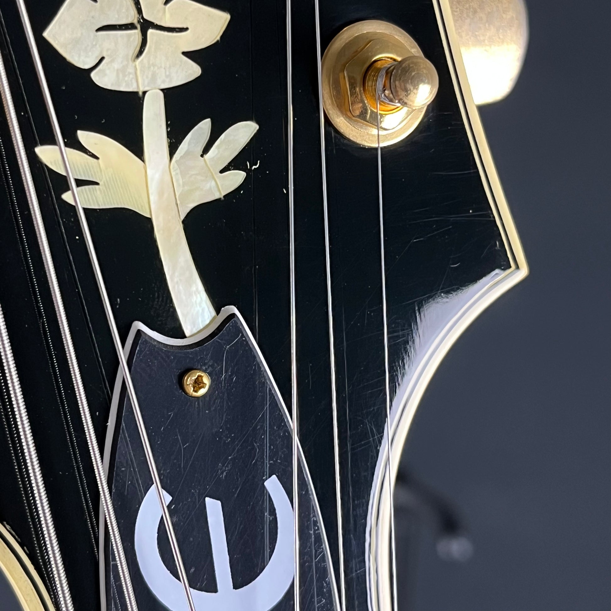 Epiphone Korea BROADWAY VC