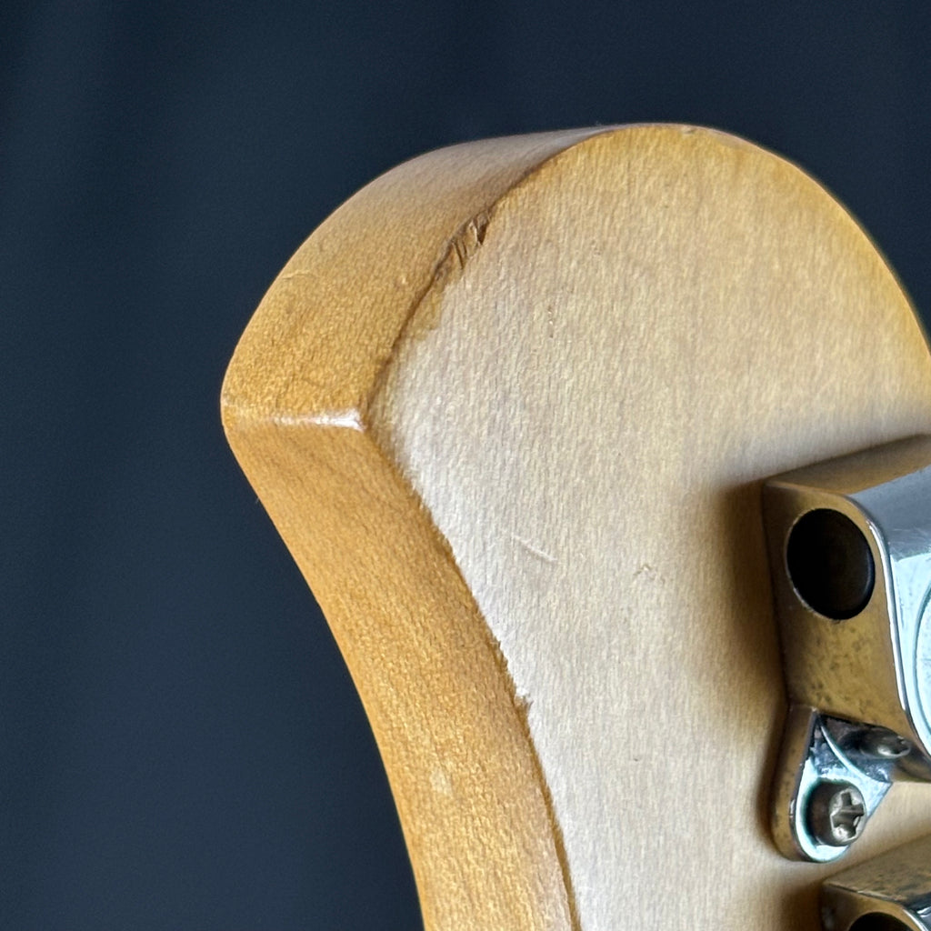 Bacchus Universe Series Stratocaster