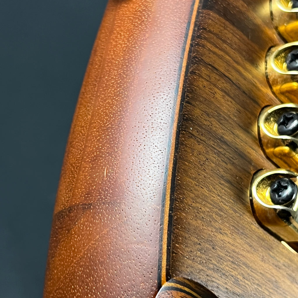 Ibanez SR Premium SR1206EVNF